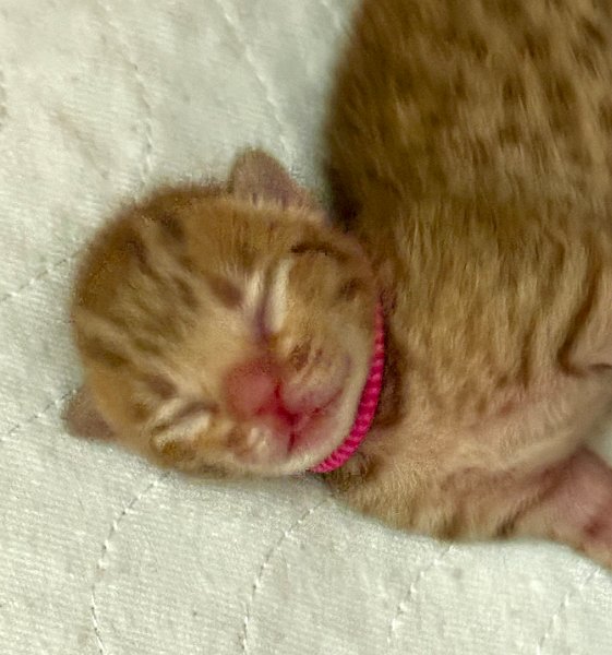 2025-10-12 10-48-49.JPG