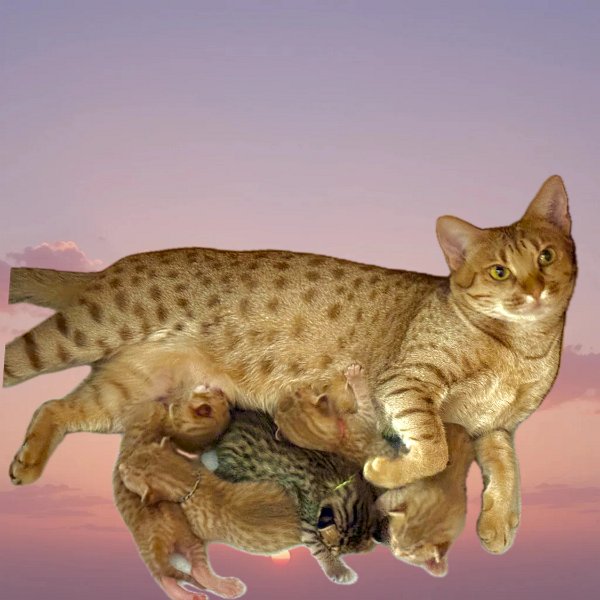 2025-10-22 16-49-59.JPG