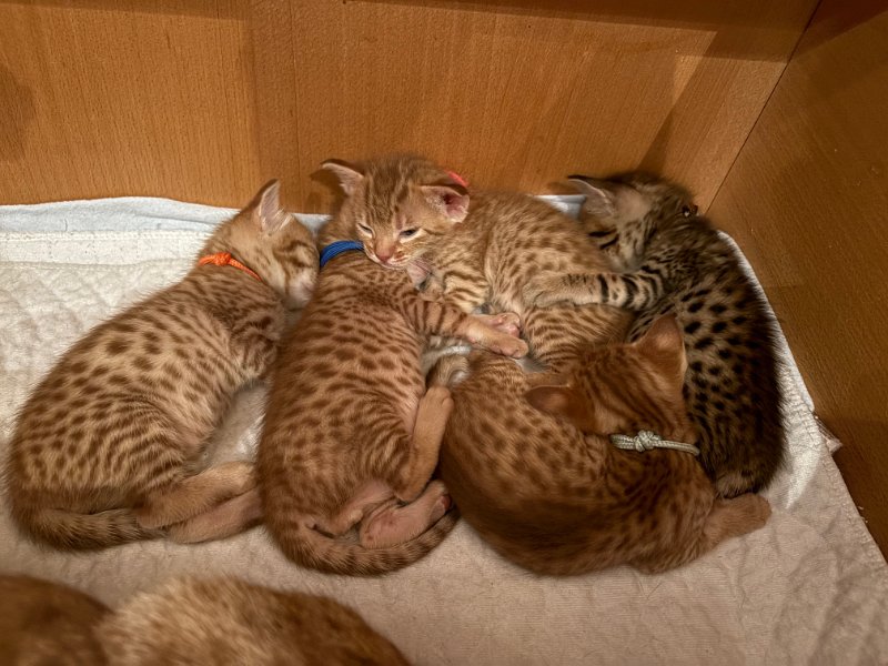 2025-11-01 13-37-17.JPG