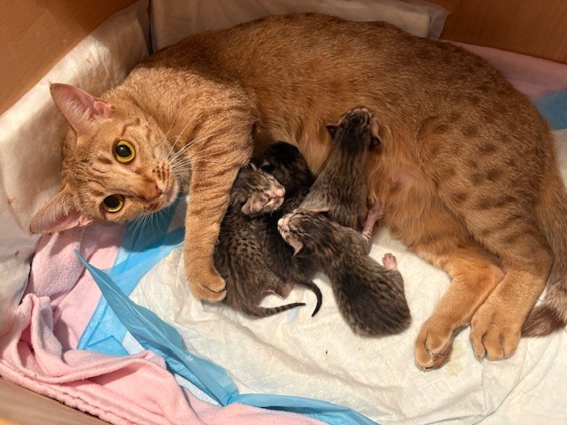 Bild 1.jpg